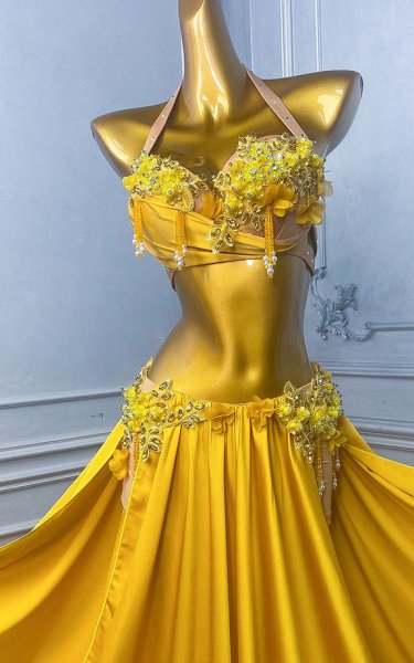 画像4: ベリーダンス衣装コスチュームWZY191 (4)