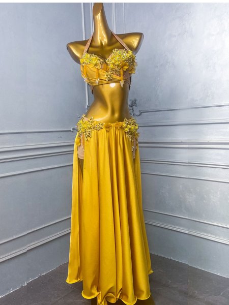 画像3: ベリーダンス衣装コスチュームWZY191 (3)