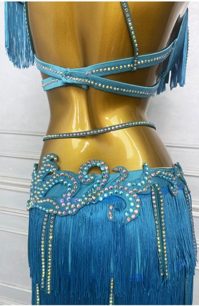 画像4: ベリーダンス衣装コスチュームWZY216 (4)