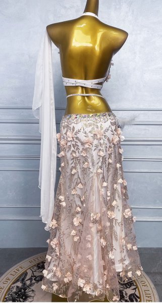 画像2: ベリーダンス衣装コスチュームWZY213　取り寄せ (2)