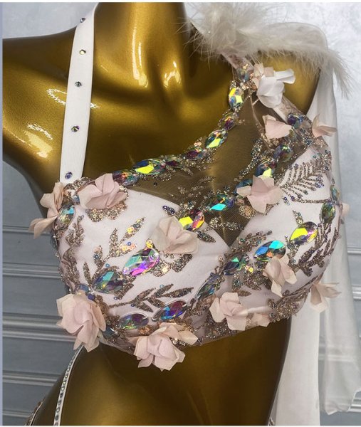 画像5: ベリーダンス衣装コスチュームWZY213　取り寄せ (5)