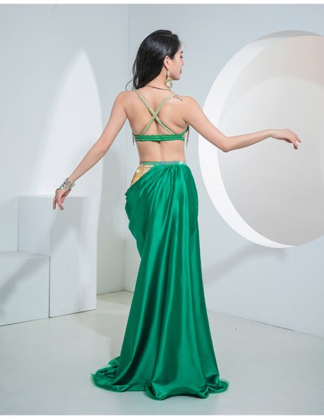 画像3: ベリーダンス衣装コスチューム--ブラ＋スカートYC113 (3)