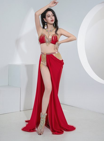 画像4: ベリーダンス衣装コスチューム--ブラ＋スカートYC113 (4)