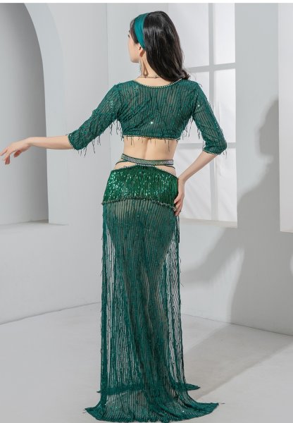 画像3: ベリーダンス衣装コスチューム--発表会用★shaabi baladiワンピースYC118 (3)