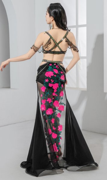 画像3: ベリーダンス衣装コスチューム--ブラ+スカートYC125 (3)