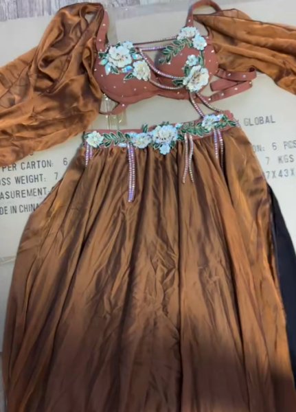 画像4: ベリーダンス衣装コスチュームWZY196 (4)