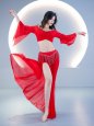 画像5: ベリーダンス練習セット-2点セット5091 (5)