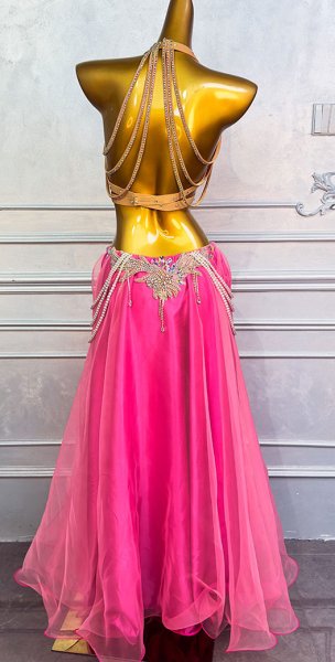 画像12: ベリーダンス衣装コスチュームQC3295 (12)