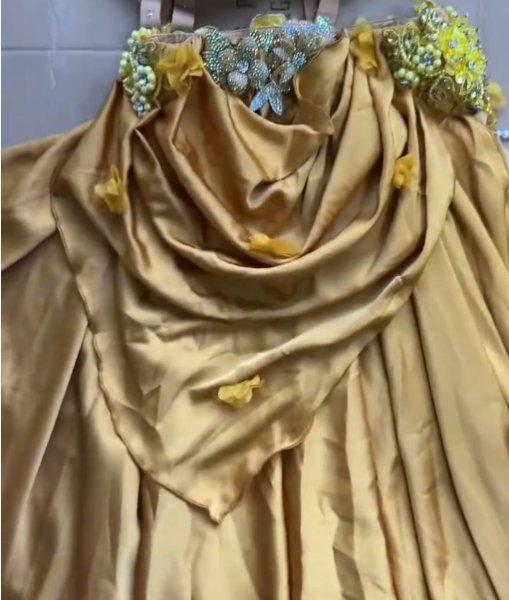 画像6: ベリーダンス衣装コスチュームWZY191 (6)