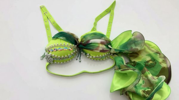 画像5: ベリーダンス衣装コスチュームWZY030 (5)